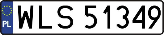 WLS51349