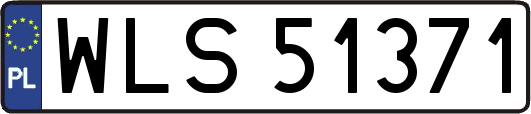WLS51371