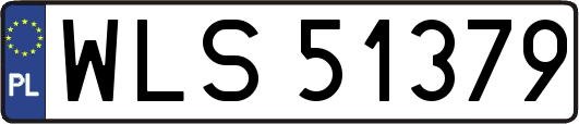 WLS51379