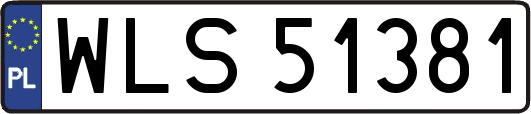 WLS51381