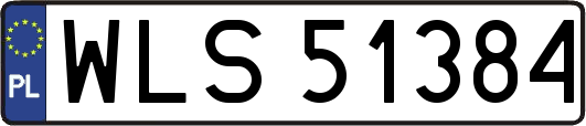 WLS51384