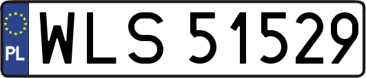 WLS51529