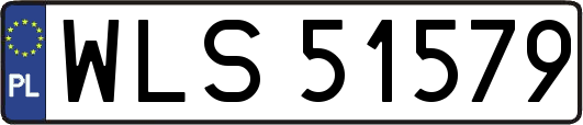 WLS51579