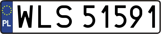 WLS51591