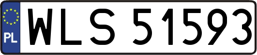 WLS51593