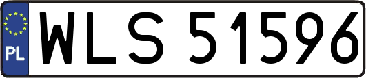 WLS51596