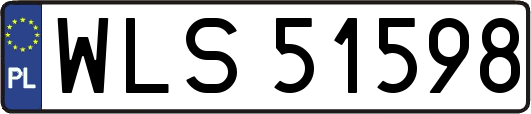 WLS51598