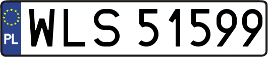 WLS51599