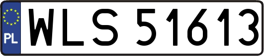 WLS51613