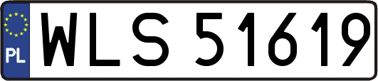 WLS51619