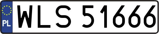 WLS51666