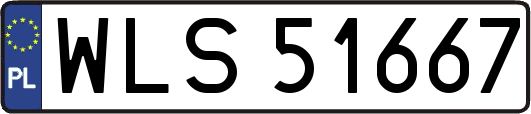 WLS51667