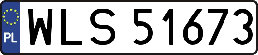 WLS51673