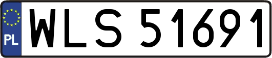 WLS51691