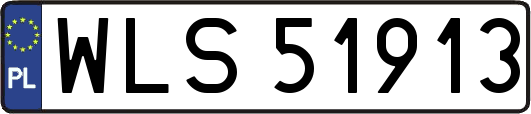 WLS51913