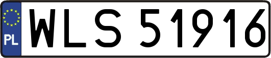 WLS51916