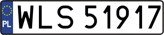 WLS51917