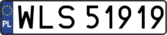 WLS51919