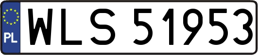 WLS51953