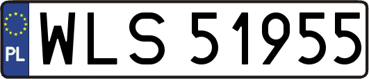 WLS51955