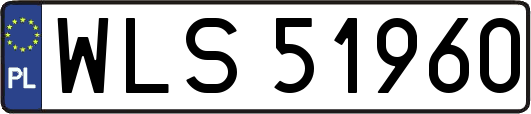 WLS51960