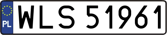 WLS51961