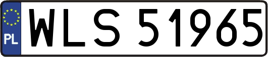 WLS51965