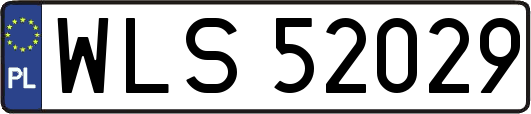 WLS52029