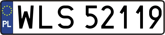 WLS52119