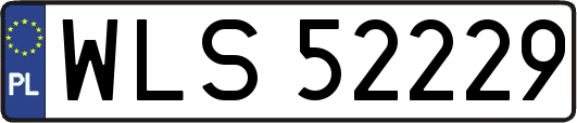 WLS52229