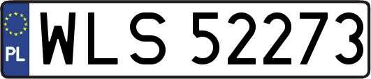 WLS52273