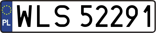 WLS52291