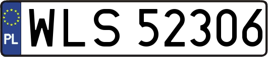 WLS52306