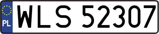 WLS52307