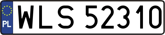 WLS52310