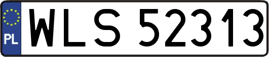 WLS52313