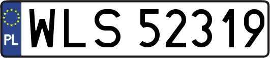 WLS52319