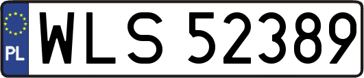 WLS52389
