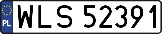 WLS52391