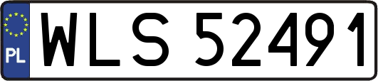 WLS52491