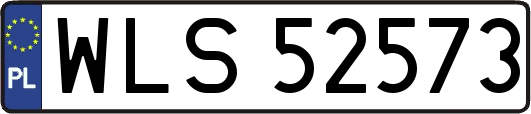 WLS52573