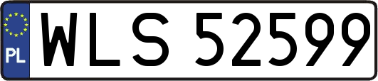 WLS52599
