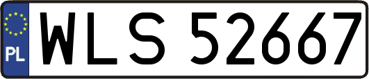 WLS52667