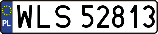 WLS52813