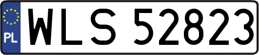 WLS52823