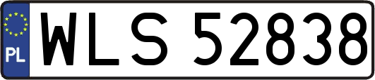WLS52838