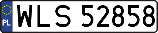 WLS52858