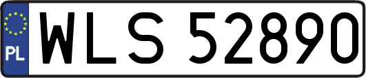 WLS52890