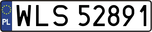 WLS52891