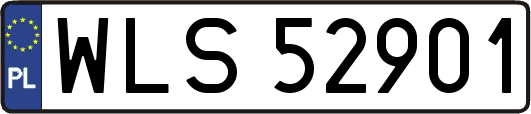 WLS52901